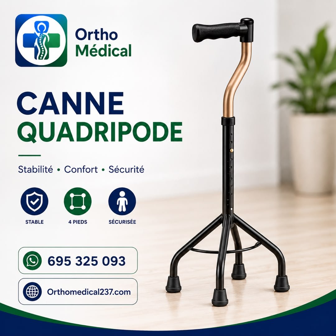 Canne quadripode